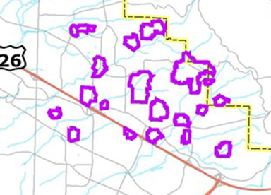 beetle treatment area map