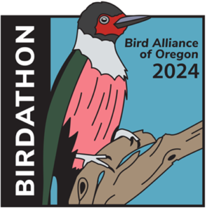 birdathon logo with cartoon art of woodpecker on branch