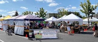 cedar mill farmers market tents