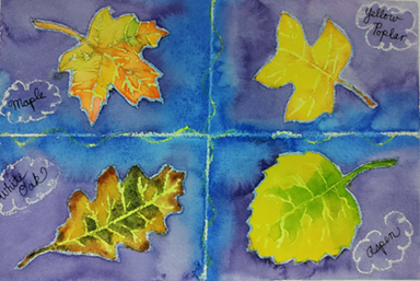 children's art class watercolor resist of fall leaves