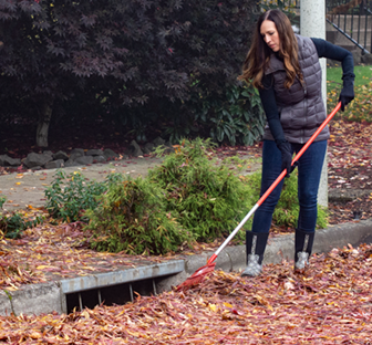 person raking leaves away from storm grate