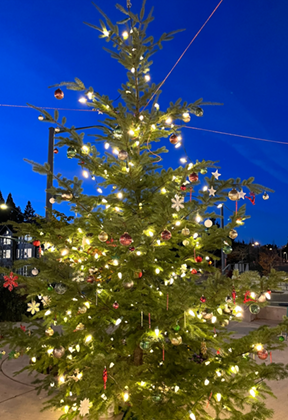 holiday tree lit up at night