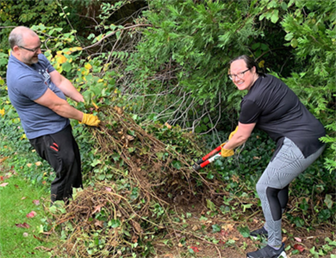 two people pulling ivy in the woods