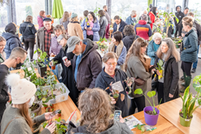 houseplant swap