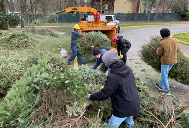 tree recycling