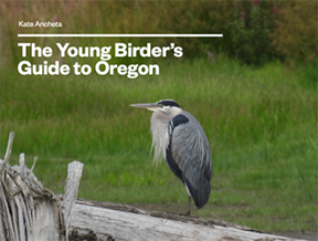 young birder book cover