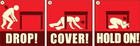 earthquake graphic showing person dropping, covering, and hanging on under a table