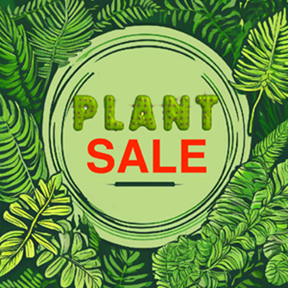 plant sale graphic on leafy background