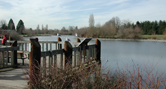commonwealth park pond