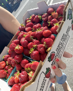 Caja de fresas