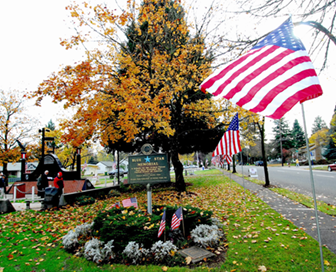 veterans park